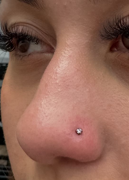 Nostril discreto